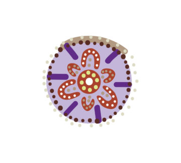 Content Grid CardsPopup Image 720x648   RAP Icons