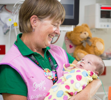 Content Layout Cards 1440x129626